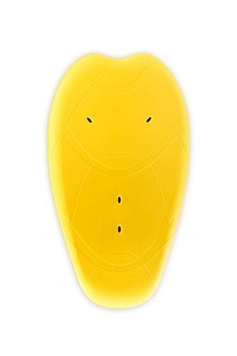 SAS-TEC® BACKPROTECTOR SCL 2018